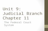Unit 9: Judicial Branch Chapter 11 The Federal Court System.