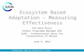 INTERNATIONAL UNION FOR CONSERVATION OF NATURE Ecosystem Based Adaptation – Measuring Effectiveness Ali Raza Rizvi Global Programme Manager EbA IUCN -