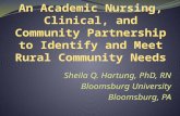 Sheila Q. Hartung, PhD, RN Bloomsburg University Bloomsburg, PA.