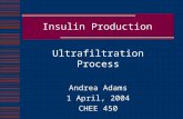 Insulin Production Ultrafiltration Process Andrea Adams 1 April, 2004 CHEE 450.