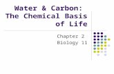 Water & Carbon: The Chemical Basis of Life Chapter 2 Biology 11.
