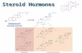 Steroid Hormones Cholesterol Starting material. Steroid Sex Hormones Androgens: Androgens: male sex hormones synthesized in the testes responsible for.