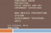 QUALITATIVE RESEARCH FOR SUBSTANCE ABUSE PREVENTION: FOCUS GROUPS AND KEY INFORMANT INTERVIEWS NEW MEXICO PREVENTION SYSTEM ASSESSMENT TRAINING- 2014 Liz.