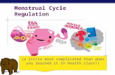 AP Biology Menstrual Cycle Regulation (a little more complicated than when you learned it in health class!)