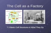 The Cell as a Factory 7.3 Basic Cell Structures & What They Do.