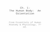 Ch. 1: The Human Body: An Orientation From Essentials of Human Anatomy & Physiology, 7 th ed.