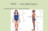 NTK: vocabulary Anatomical position. metabolism prompt Many people think that if someone had a high metabolism then they would be fit, athletic, healthy…