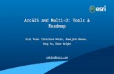 ArcGIS and Multi-D: Tools & Roadmap Esri Team: Christine White, Nawajish Noman, Hong Xu, Dawn Wright cwhite@esri.com.