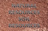 1.Introduction 2.Prior Knowledge 3.Soil resources 4.Where does soil come from? 5.Why are soil resources important? 6.What is soil conservation? 7.Is soil.