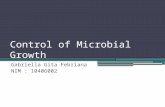 Control of Microbial Growth Gabriella Gita Febriana NIM : 10406002.