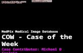 MedPix Medical Image Database COW - Case of the Week Case Contributor: Michael D Casimir Affiliation: SUNY at Buffalo.