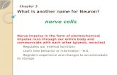 Chapter 3 What is another name for Neuron? Nerve impulse in the form of electrochemical impulse runs through our entire body and communicate with each.