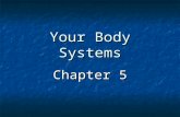 Your Body Systems Chapter 5. Body Organization Your Body is made of trillions of cells. Your Body is made of trillions of cells. Cells are the simplest.