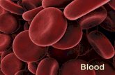 Blood. What is Homeostasis It is the internal environment (and therefore survival itself) It is the internal environment (and therefore survival itself)