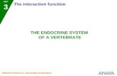 UNIT 3 The interaction function Natural Science 2. Secondary Education THE ENDOCRINE SYSTEM OF A VERTEBRATE.
