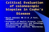 Critical Evaluation of colonoscopic biopsies in Crohn’s Disease Najib Haboubi MB Ch B,D Path, FRCPath Professor of Health Science, Liver and Gastrointestinal.