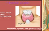 ~Thyroid Gland~ Katie Brown Dena Livingstone Endocrine system: 3rd Quarter Project.