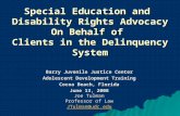 Special Education and Disability Rights Advocacy On Behalf of Clients in the Delinquency System Barry Juvenile Justice Center Adolescent Development Training.
