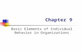 Basic Elements of Individual Behavior in Organizations Chapter 9.