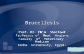 Brucellosis Prof. Dr. Fhim Shaltout Professor of Meat Hygiene Faculty of Veterinary Medicne Benha University, Egypt.