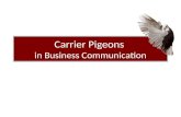 Carrier Pigeons in Business Communication. Purpose.