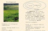 Ecological communities A community is a local assembly of species that potentially interact. Generally these species are on the same trophic level. A community.
