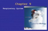 Chapter 9 Respiratory System. Points to Ponder What are the parts and function of the upper and lower respiratory system? What is the mechanism for expiration.