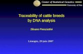 Center of Statistical Genetics University of Pisa Traceability of cattle breeds by DNA analysis Silvano Presciuttini Limoges, 29 juin 2007.