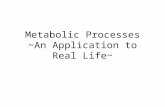 Metabolic Processes ~An Application to Real Life~.