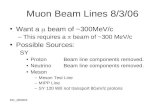 MC_060803 Muon Beam Lines 8/3/06 Want a  beam of ~300MeV/c –This requires a  beam of ~300 MeV/c Possible Sources: SY Proton Beam line components removed.