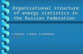 Organizational structure of energy statistics in the Russian Federation I.Ulyanov, A.Bykov, A.Goncharov Rosstat.