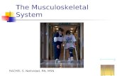 The Musculoskeletal System RACHEL S. Natividad, RN, MSN.