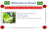 Welcome to Brazil Today we will enter the interesting world of Brazil! You will learn….. About the Amazon Rainforest Brazilian culture Facts about Brazil.