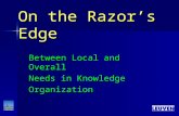 On the Razor’s Edge Between Local and Overall Needs in Knowledge Organization.