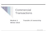 ©MNoonan2009 Commercial Transactions Module 3 Transfer of ownership Winter 2014.
