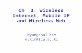 Ch 3. Wireless Internet, Mobile IP and Wireless Web Myungchul Kim mckim@icu.ac.kr.