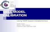 CELL MODEL CALIBRATION Using NMR based metabonomics Kranthi Varala Advisor : Peter Ortoleva Capstone Project Spetember 2004.