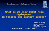 1 Bratislava, 12 Feb. 2008 Roma Employment – Challenges and Barriers What do we know about Roma Employment in Central and Eastern Europe? Europe and CIS.