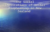 The Social Implications of Animal Biopharming in New Zealand.
