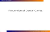 TEMPLE UNIVERSITY KORNBERG SCHOOL OF DENTISTRY 1 Prevention of Dental Caries.