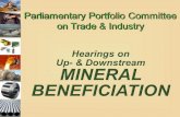 “..specific (RDP) policies aim to expand the competitive advantage already enjoyed by the mining and capital and energy-intensive mineral processing and.