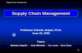 1 Supply Chain Management Professor Soheila Jorjani, Ph.D. June 22, 2002 Team: Barbara Sepich  Amy Wheeler  Tom Arant  Shon Sloat Supply Chain Management..