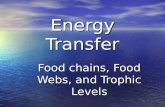 Energy Transfer Food chains, Food Webs, and Trophic Levels.