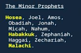 The Minor Prophets Hosea, Joel, Amos, Obadiah, Jonah, Micah, Nahum, Habakkuk, Zephaniah, Haggai, Zechariah, Malachi.