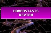 HOMEOSTASIS REVIEW. Endocrine glands and other systems maintain physiological equilibrium mediated by hormones. A study of the interaction between the.