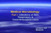 Lecture #15 Bio3124 Medical Microbiology Part I: Infections of Skin, Respiratory & Gastrointenstinal tracts.