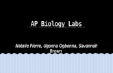 AP Biology Labs Natalie Pierre, Ugonna Ogbonna, Savannah Brown.