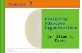 Chapter 10 Copyright ©2007 by South-Western, a division of Thomson Learning. All rights reserved Chapter 9 1 Dr. Ellen A. Drost Designing Adaptive Organizations.