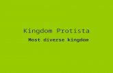 Kingdom Protista Most diverse kingdom. Characteristics Eukaryotic (has a nucleus) Unicellular/ Multicellular Autotrophic/Heterotrophic Can be Animal-like,