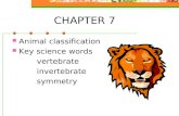 CHAPTER 7 Animal classification Key science words vertebrate invertebrate symmetry.